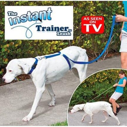 Instant Trainer Leash