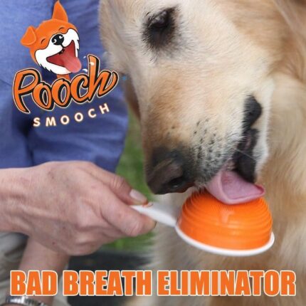 Pooch Smooch