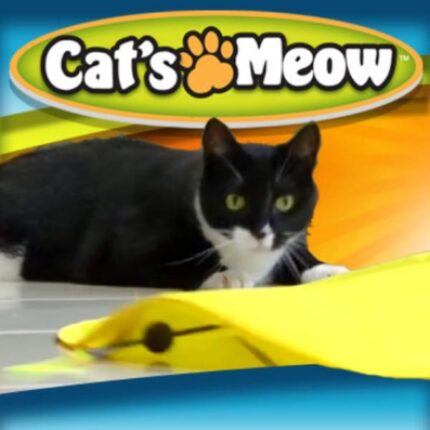 Cats Meow