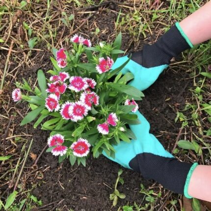 Garden Gloves